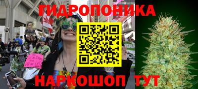 СК Чебоксары